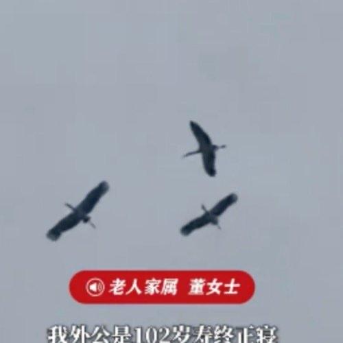 一段视频让不少网友看得心里暖洋洋的。一位102岁的老人家寿终正寝，这本就是人间少