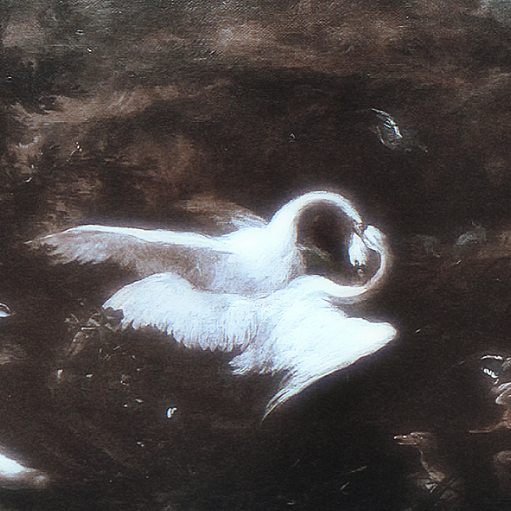 French movie waltz-mushrooms[音乐] 