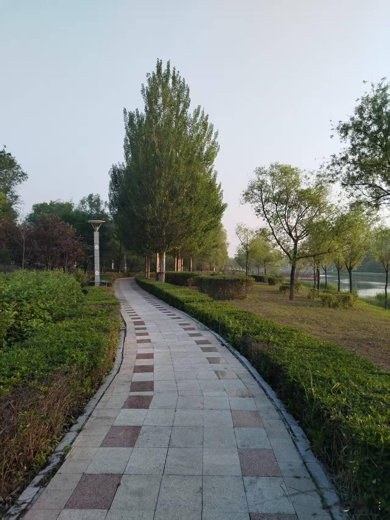 稀土是最重要的国际战略资源。随着国际局势的演变，稀土的竞争越来越激烈。
    