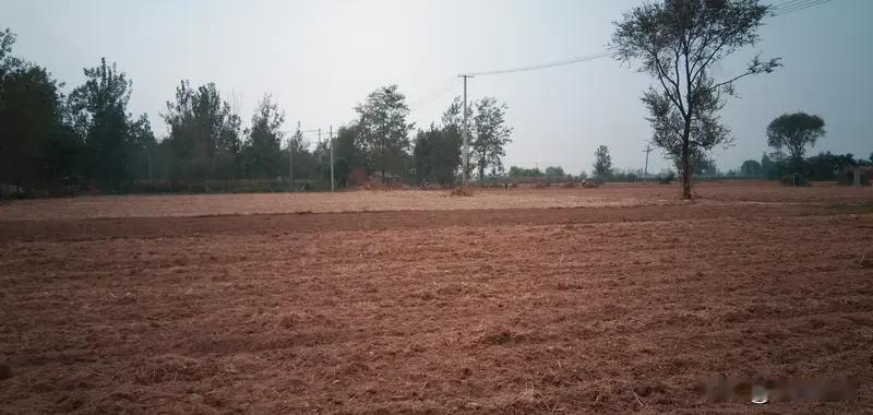 农民生活真心不容易。就说种地吧，种子、化肥、农药，每一样都得花钱，成本居高不下。