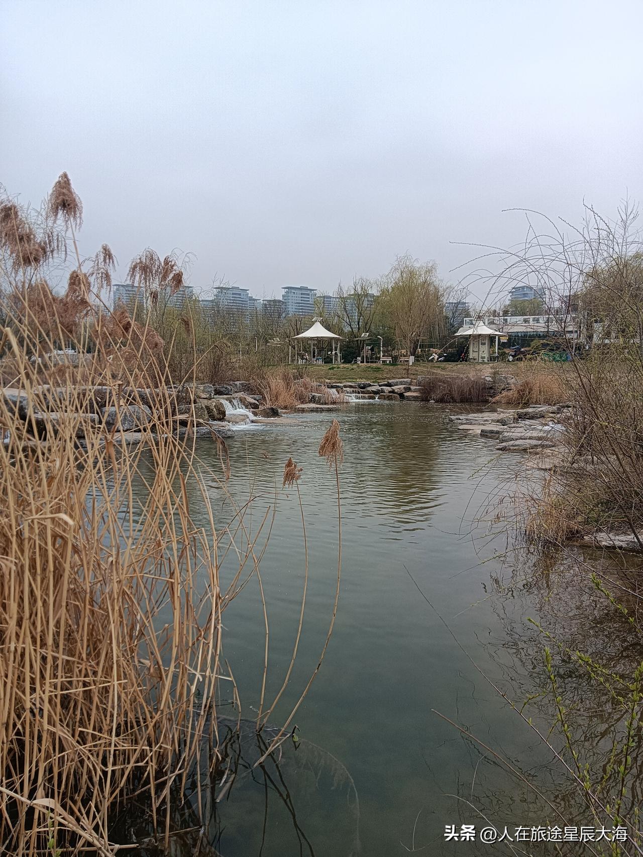 这两天西安温度下降明显，阳春3月天跟入冬一样冷若寒霜！虽然说是“倒春寒”但也没能