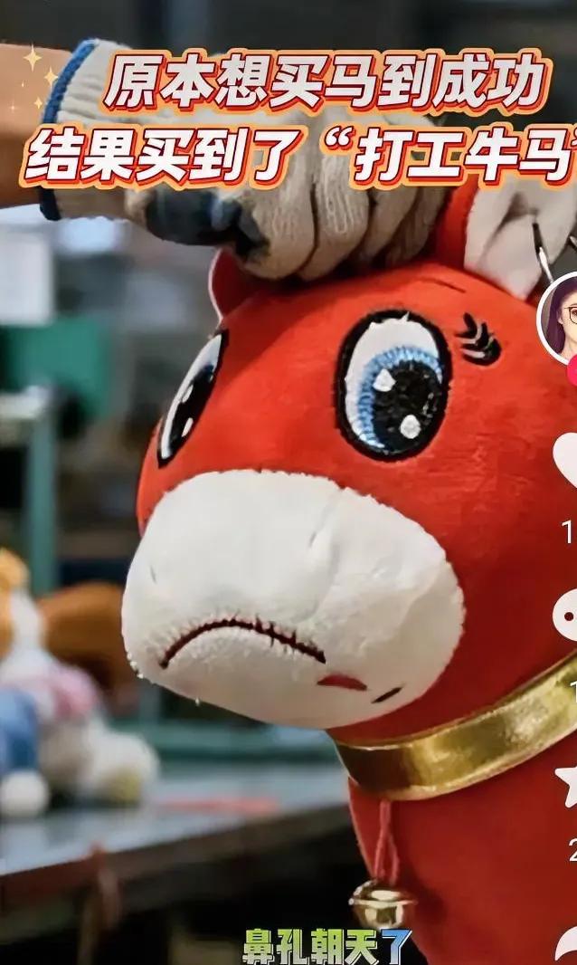 义乌哭哭马爆火！缝反嘴的次品逆袭，比笑笑马更懂打工人的心❤️
 
谁能想到，20