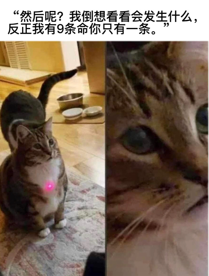 试试#今日memes# //#龙年造梗大赛# ​​​