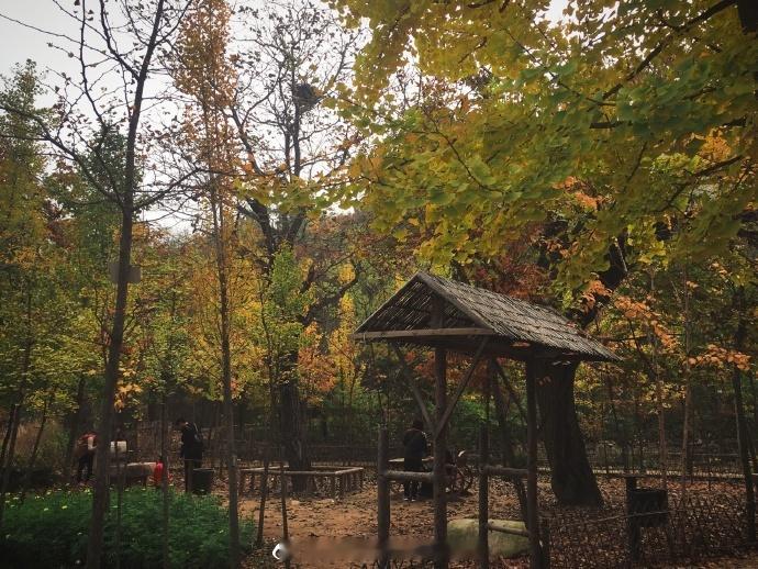 门前红叶地，不扫待知音。八潭、九瀑、二十四泉、三十六峰，刷新了对九如山的印象，入
