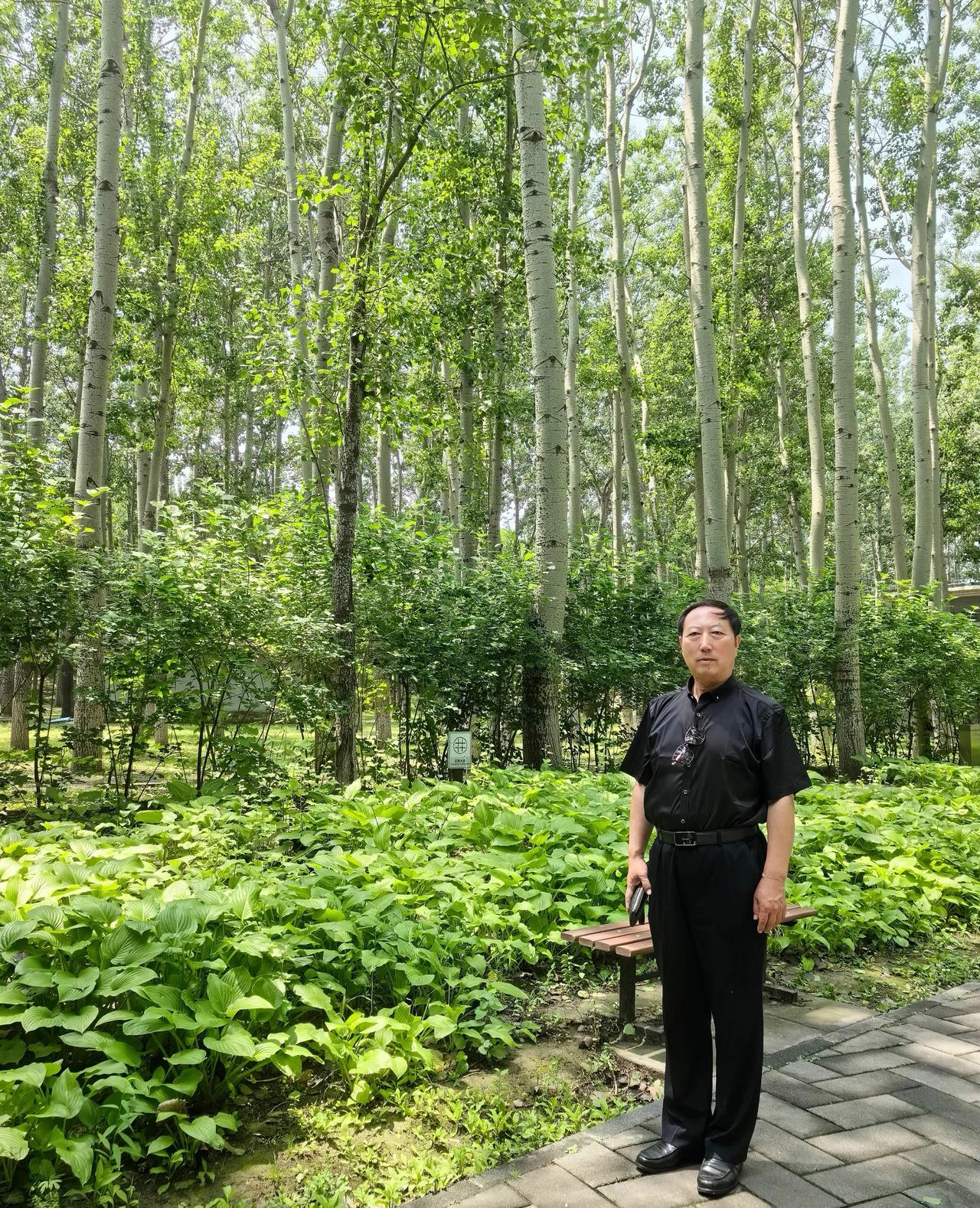 从四月启程，一路自北京向西向南，途经四川、重庆、河南、山西，再北上辽宁，如今落脚