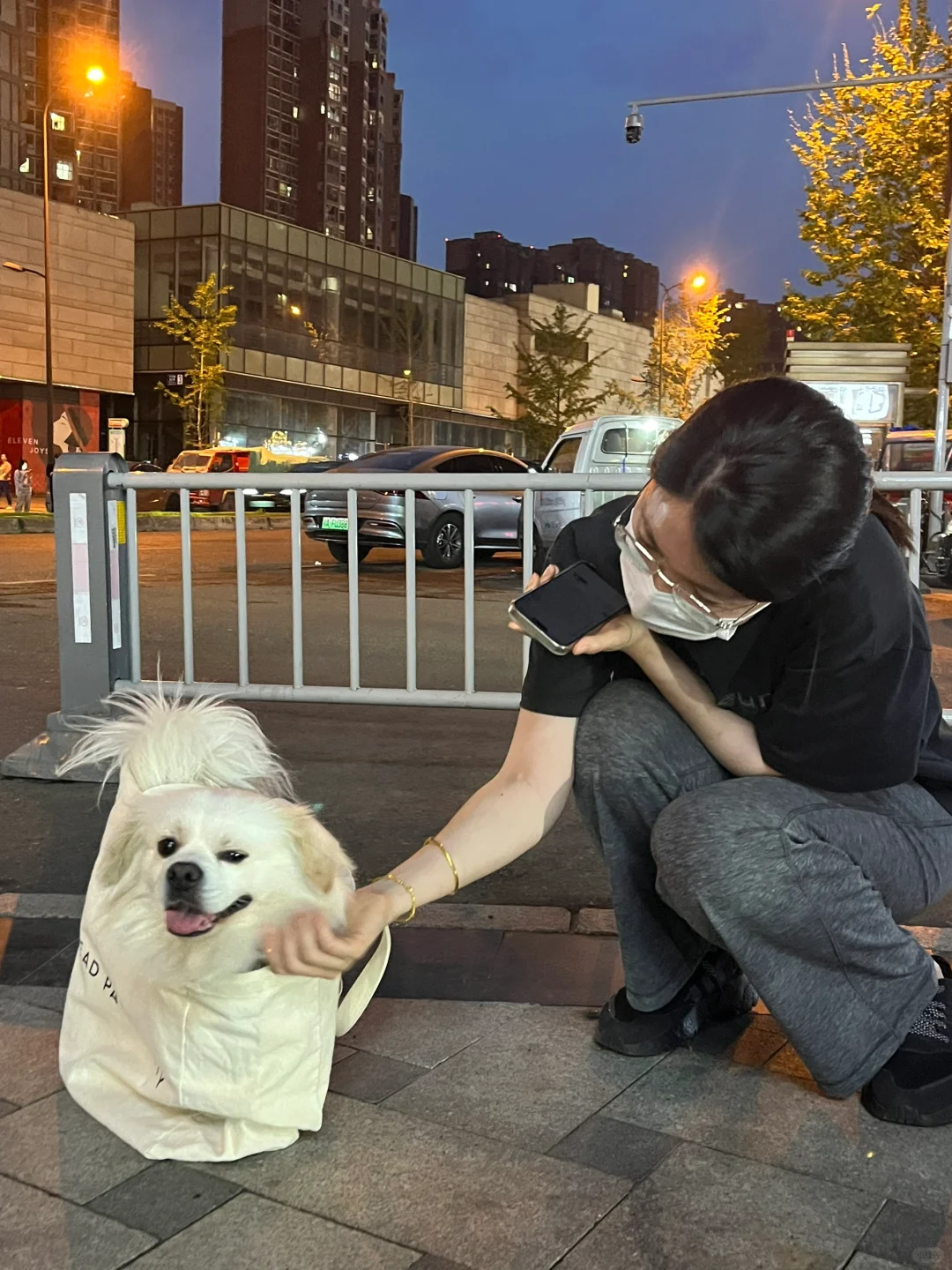 只有养狗人才能看出区别