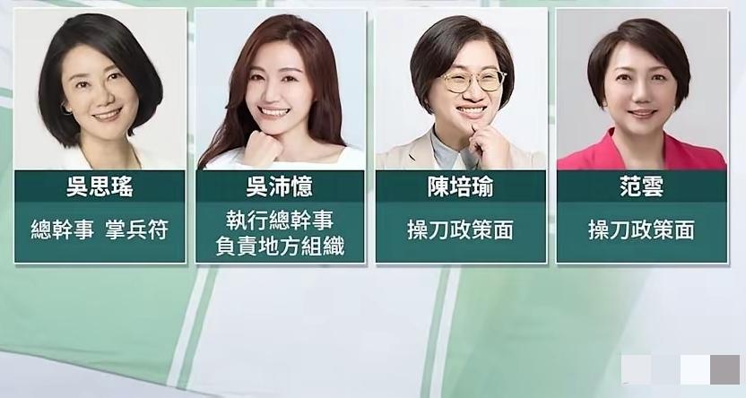 民进党阵营的女性，本身年龄大，胖瘦不一，丑陋无比，最后拍出来的宣传片，都是年轻大