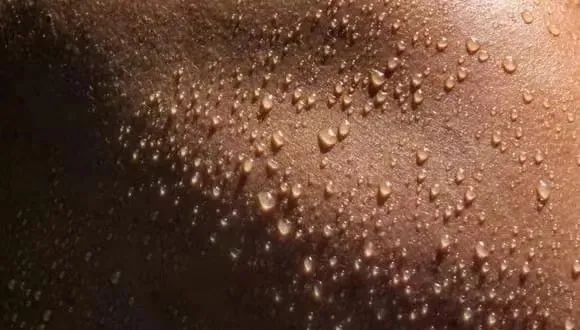 人类靠什么登上食物链顶端的？