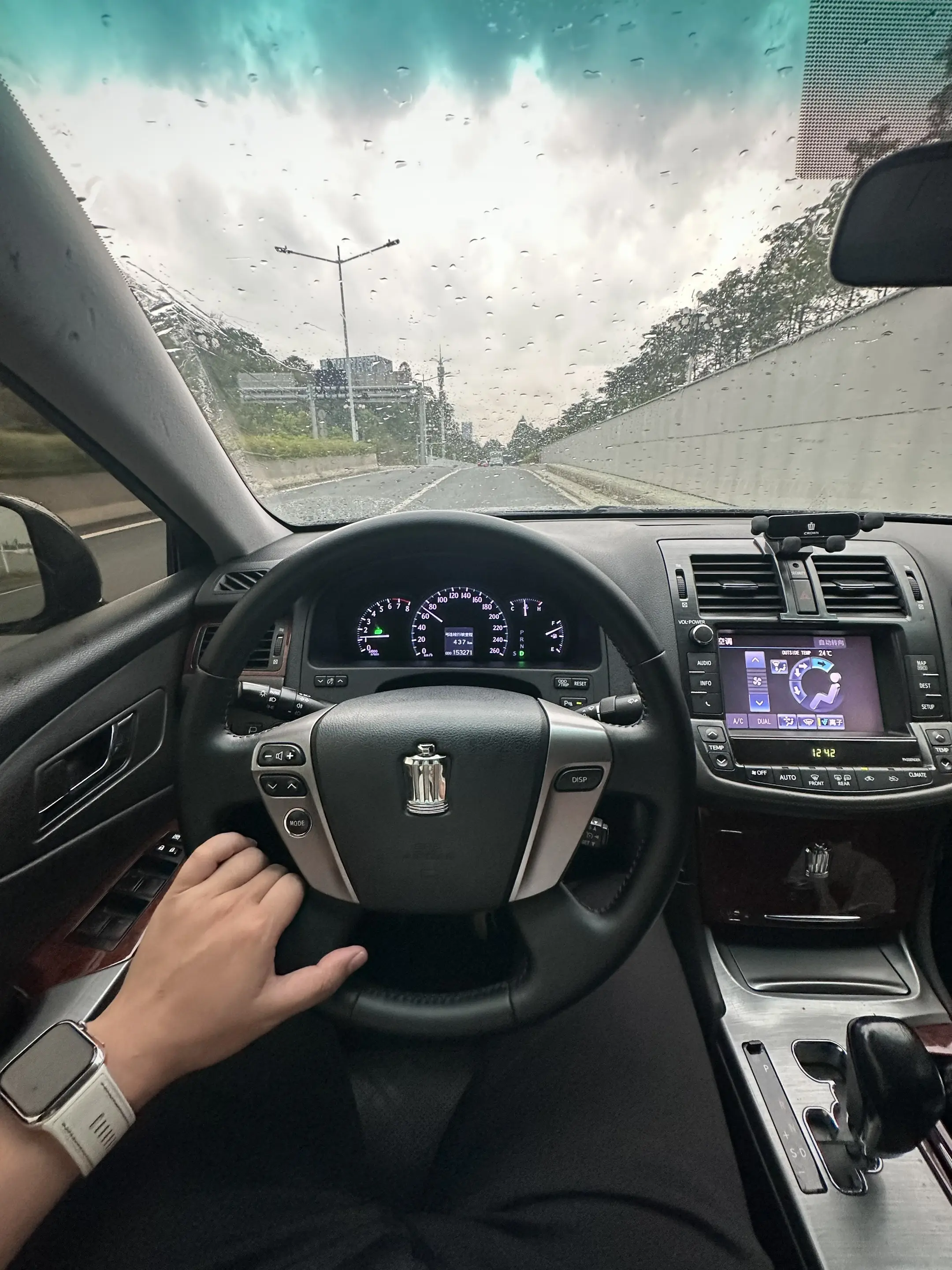 "我揸过皇冠，却没揸过你"