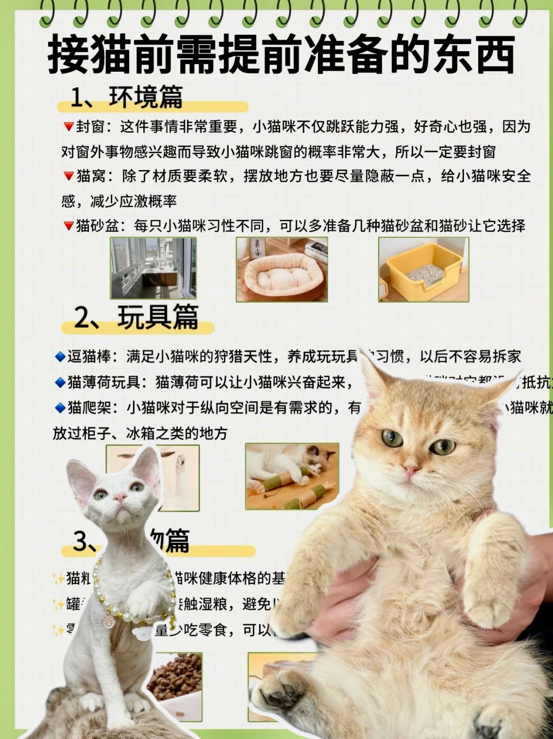 给新手养猫的注意事项，接猫前一定准备好