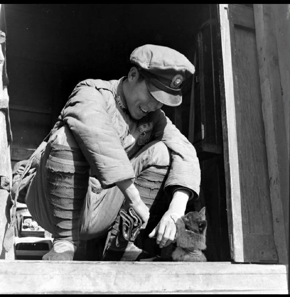 国共内战期间在津浦线列车上撸猫的国军士兵
