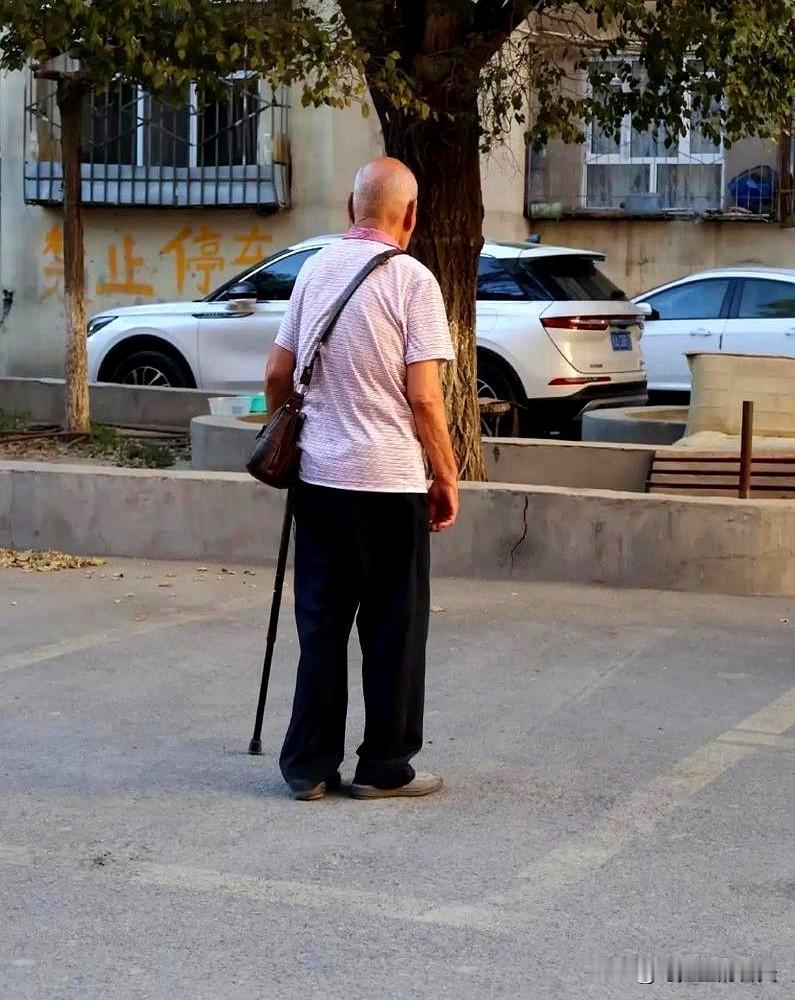 养老院一个月收五千块，真金白银砸进去，换来的却是护工被刁难、室友被折腾，连房间都