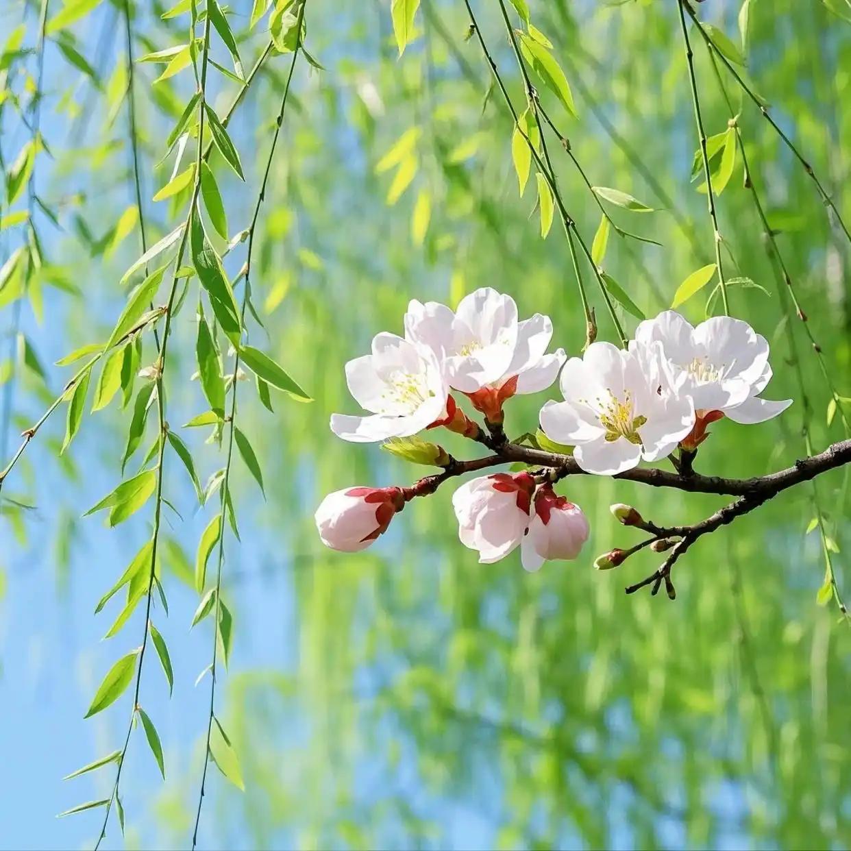 难道说，我这个只求赚点小菜钱的炒股小老太，今年马年是有“狗屎运”，感觉是踩对节奏