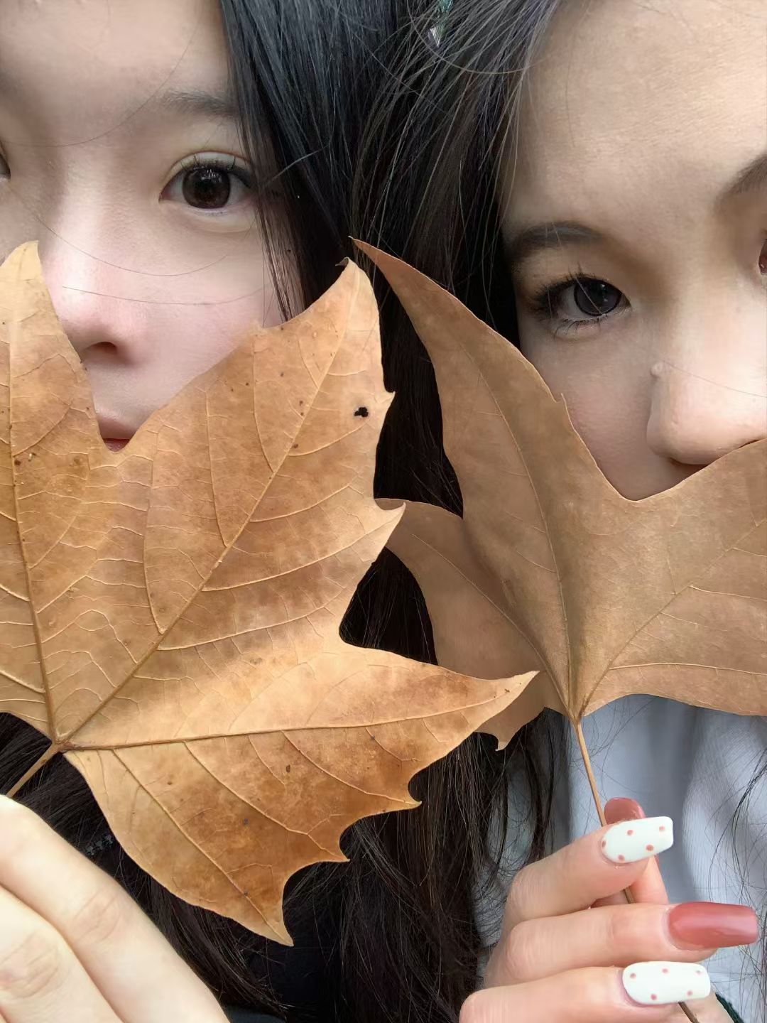 坤续添乱 