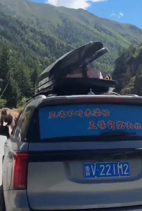 7月2日，一位山东女游客自驾途中，车顶行李舱不知什么原因被猴子打开了，里面的食物