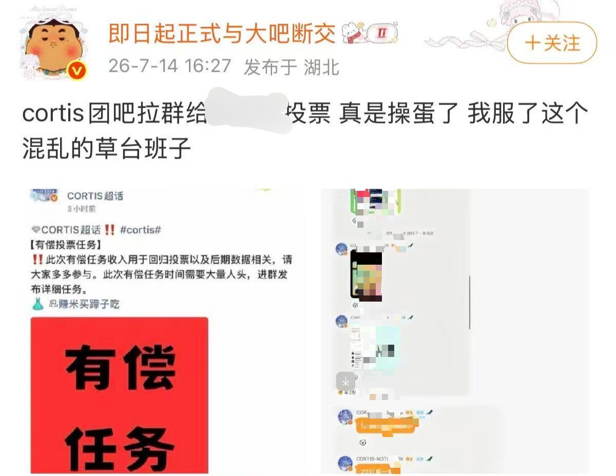 CORTIS 我想请问这个投厕的意义？是看不懂《有偿任务》《收入用于回归投票以及