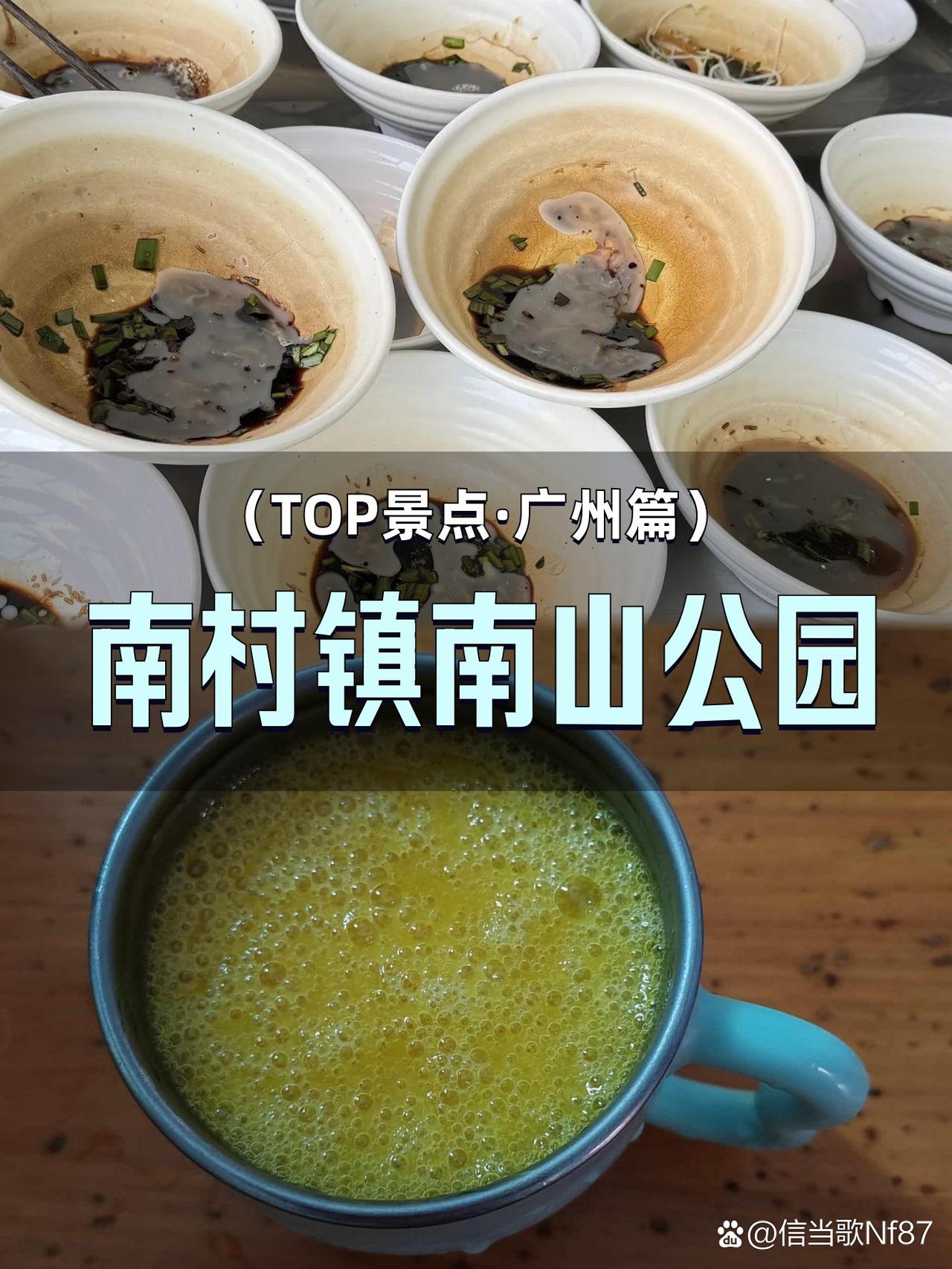 🌿南山公园｜南洋秘境的治愈系玩法

在广州南洋，藏着一处被严重低估的宝藏公园！