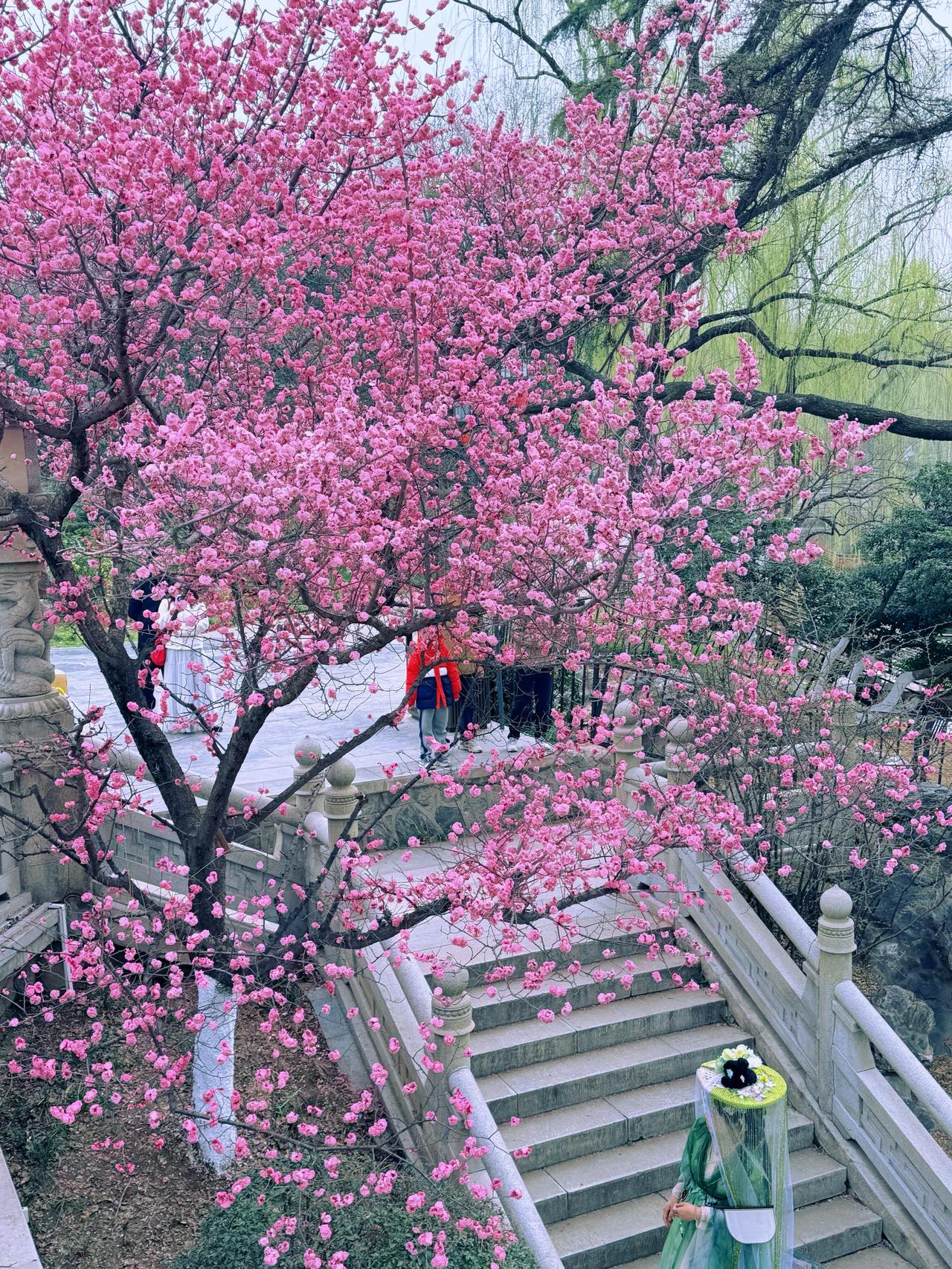 三月再见；四月你好

在时间的长河中，每一次季节的更迭都像是生命赠予我们重新开始