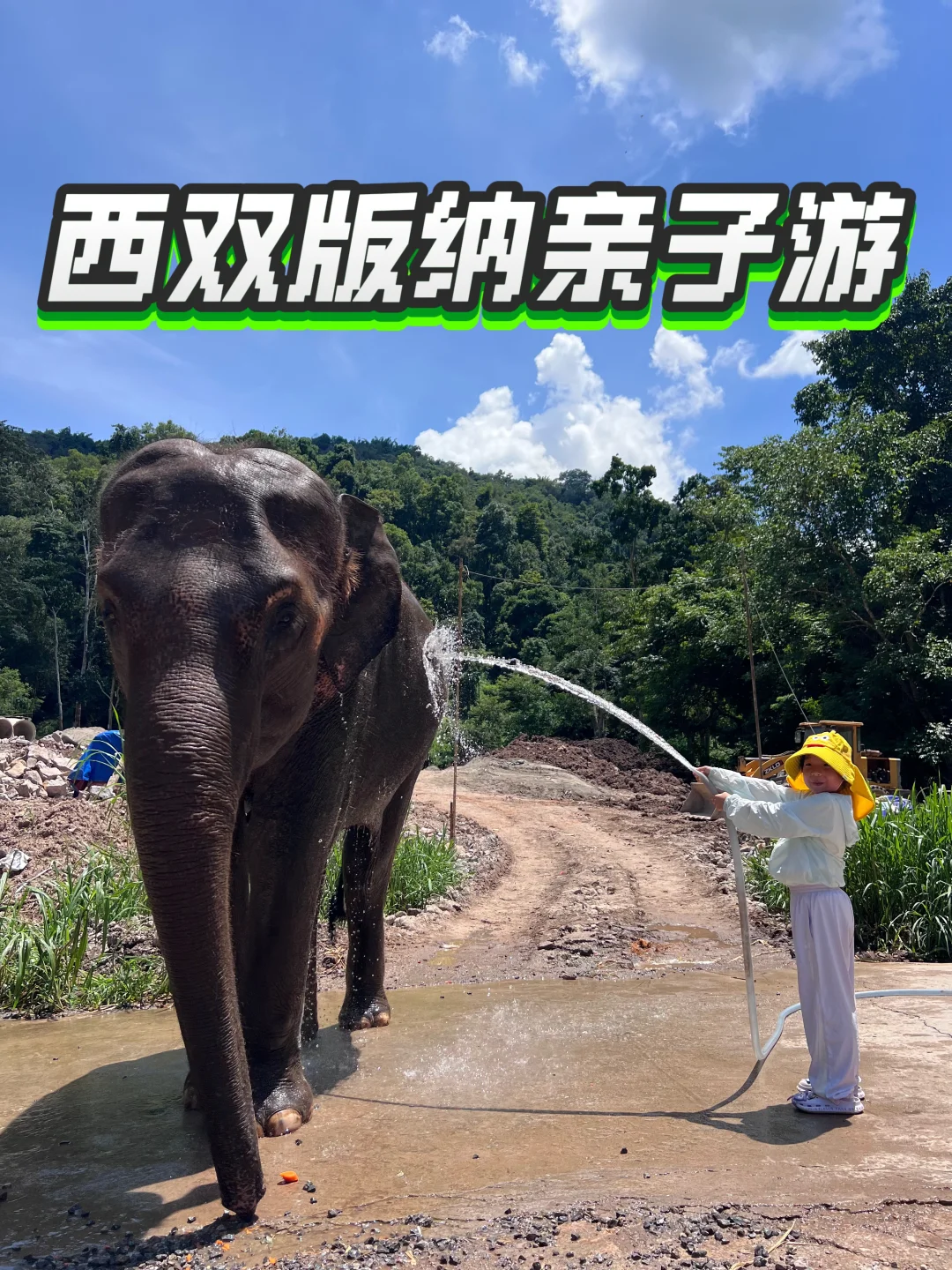 西双版纳亲子游6天 刚回 不踩雷推荐