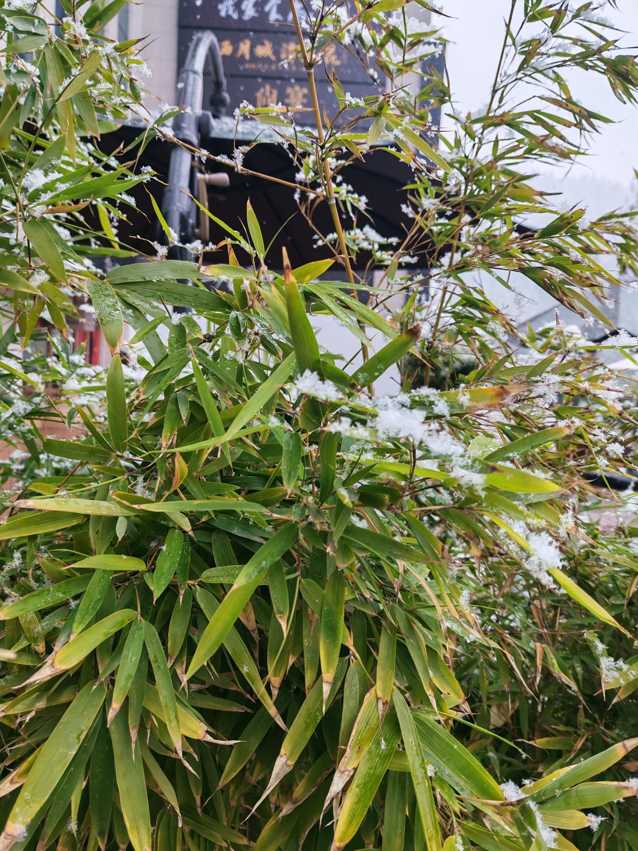 4万戒指掉厕所，老板徒手掏下水道？这波操作才是真·格局打开！女子在饭店丢了贵重戒