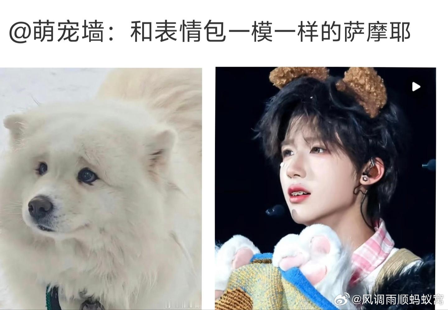 怎么会一模一样哦吼吼 ​​​