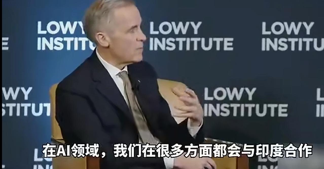 卡尼的这番高见，实在是让人丈二和尚摸不着头脑。
他说，加拿大不会与中国在AI领域