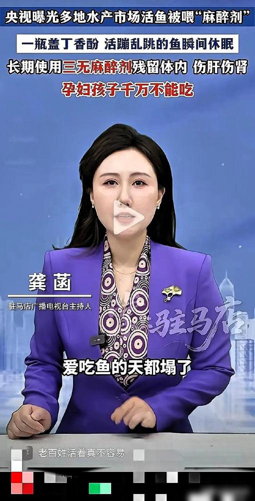 一觉醒来爱吃鱼的天都塌了！

我前几天还在小区门口水产店挑了两条看起来品相周正的