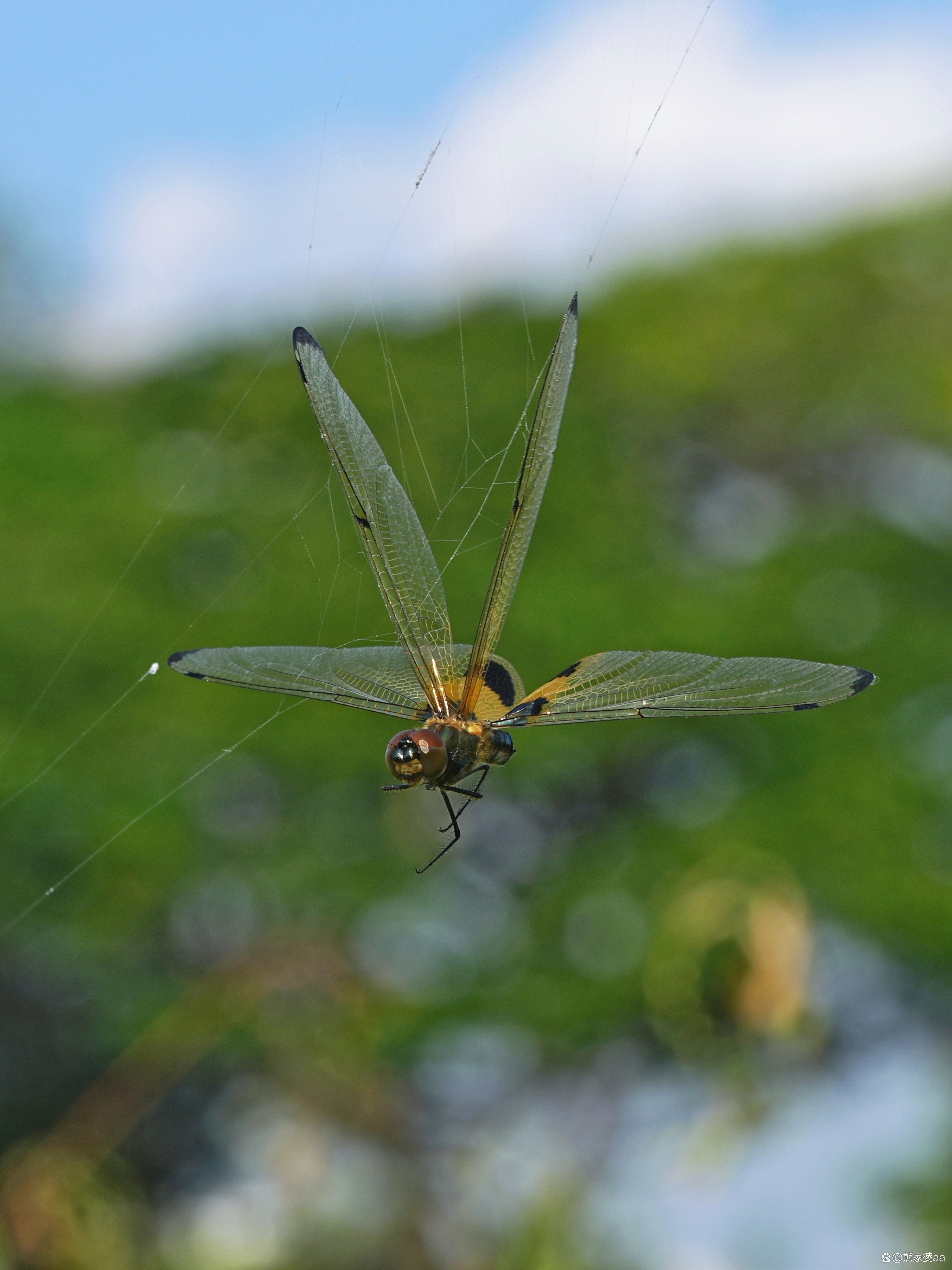 炒股在于意识形态，不在于有多少个屏幕，好几个屏幕哪还有时间思考？我觉得用很多个电