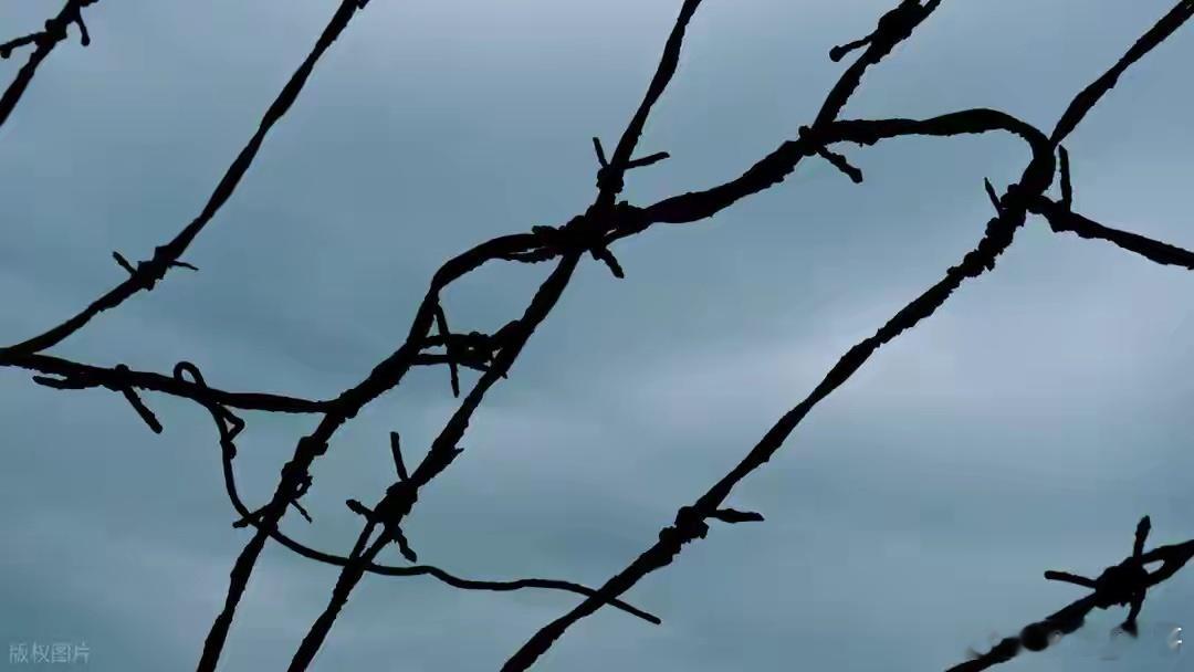 4月9日A股策略：盘后重磅！主力趁乱抄底！专注A股市场每日实战操作，让散户投资不