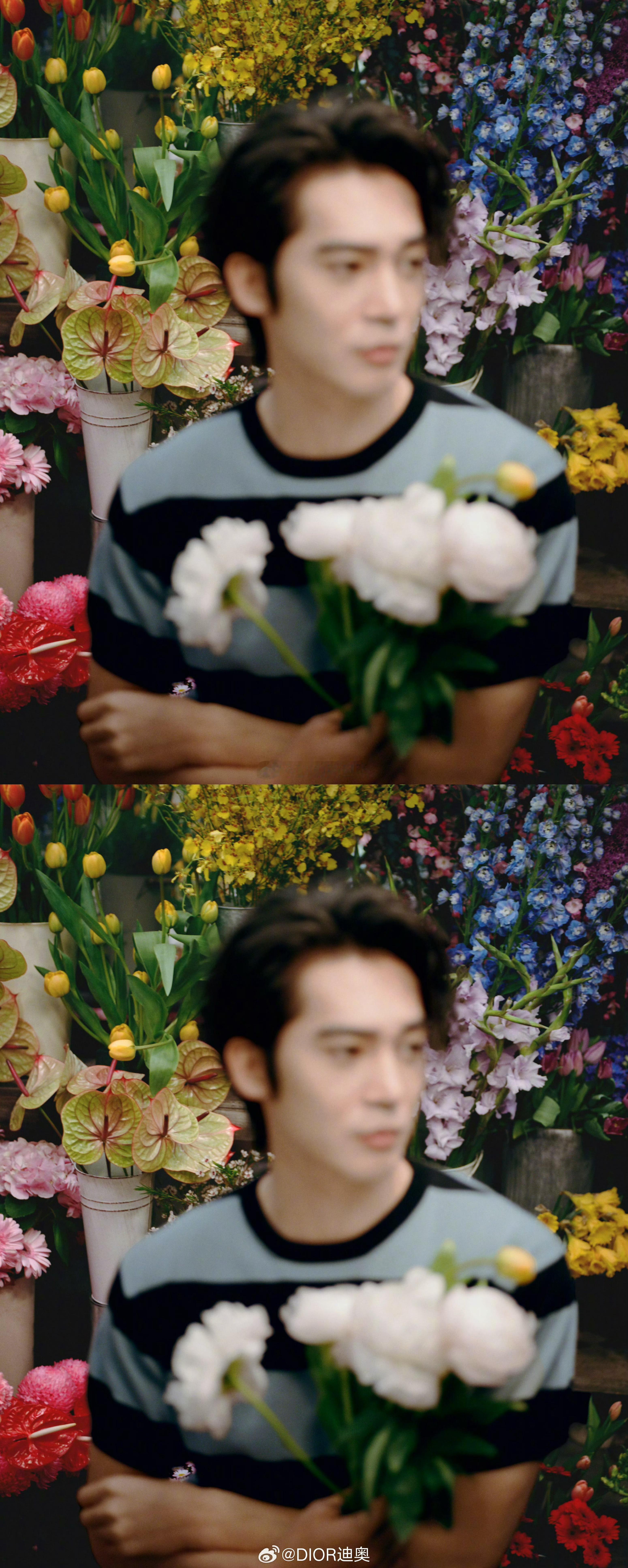 于适迪奥捧花大片 完全花美男 好帅气好温柔