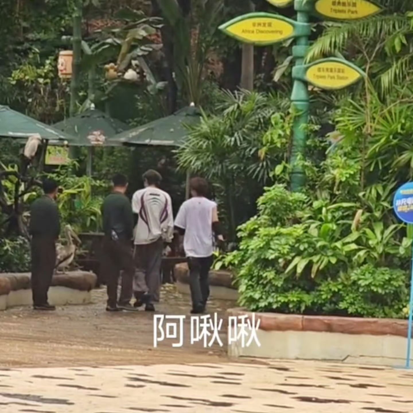 丁禹兮出发录全员加速中 啊哈哈哈哈笑鼠我了，想起一些被🦆吓到的昼川老师！ ​​