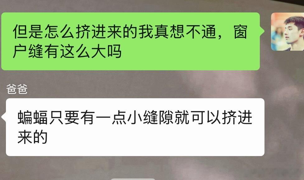 一年至少一度被蝙蝠吓到的日子又来了～出门一整天，房间的门和窗户都没开过（卫生间的