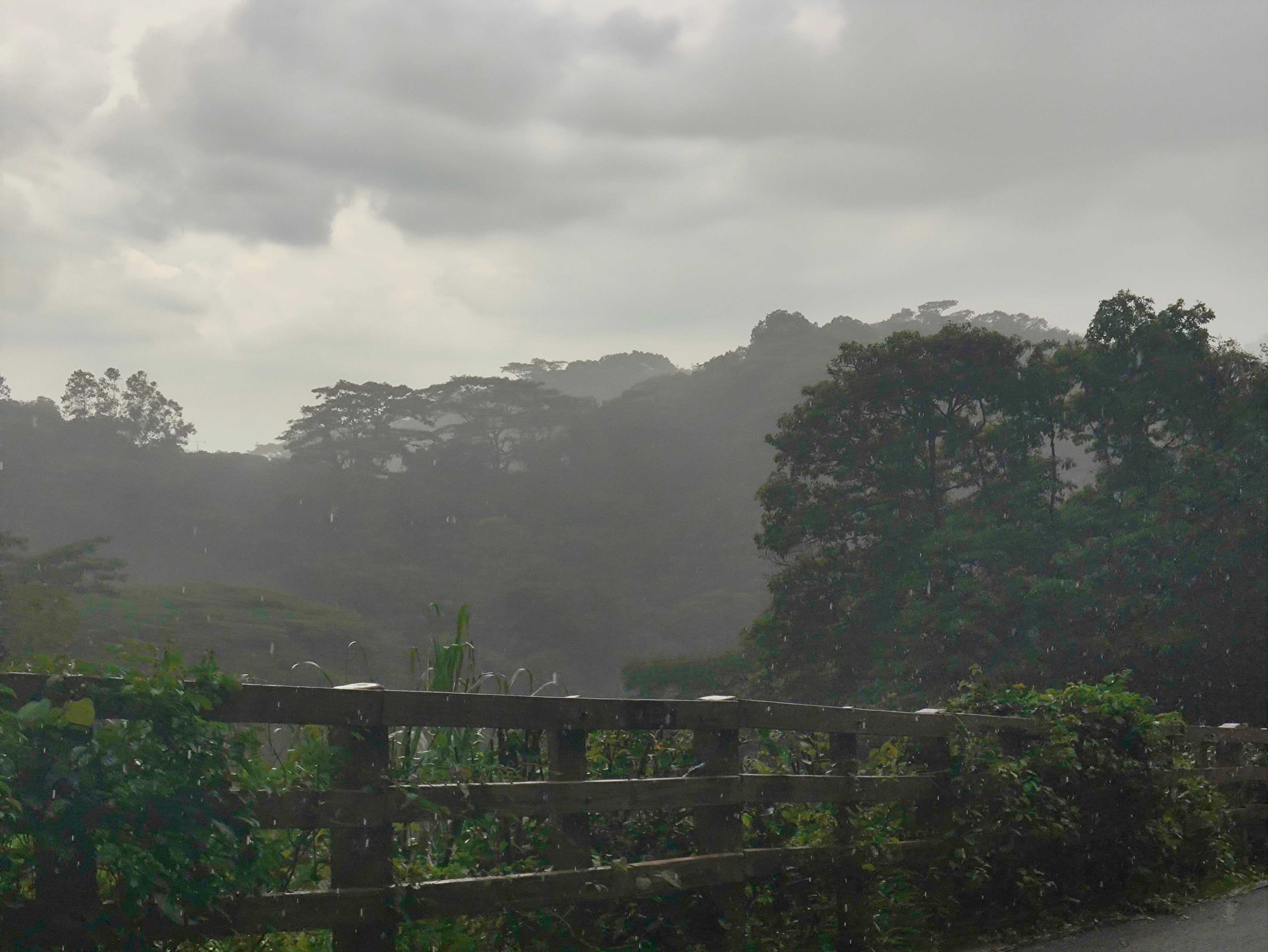 一场雨，把我困在这里。 