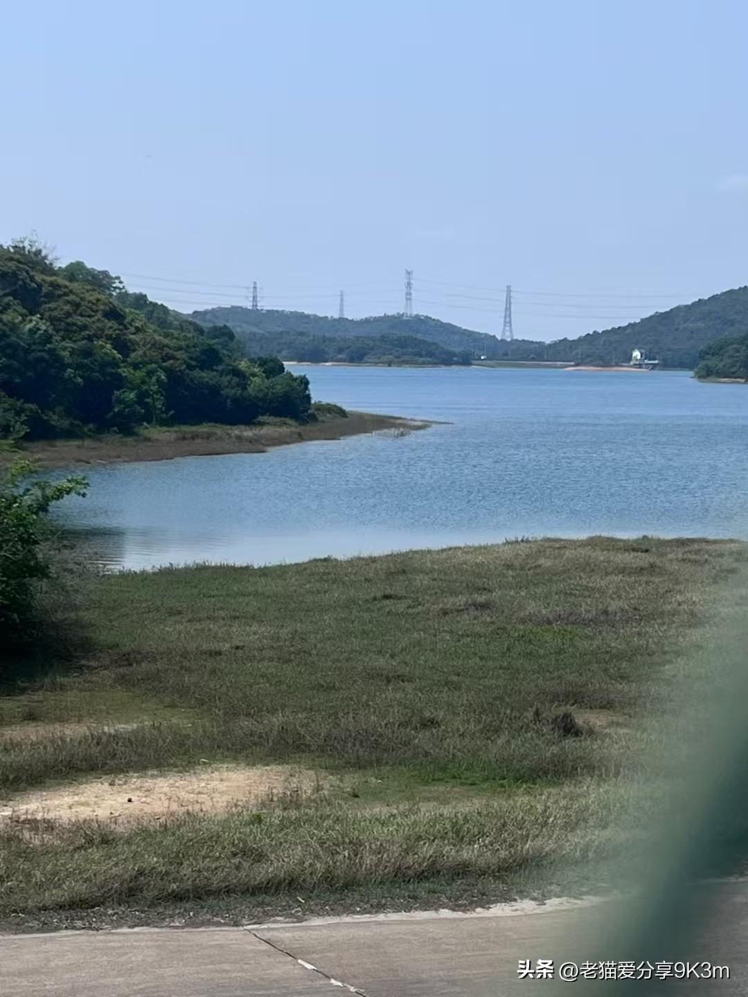 春满眼都是新绿