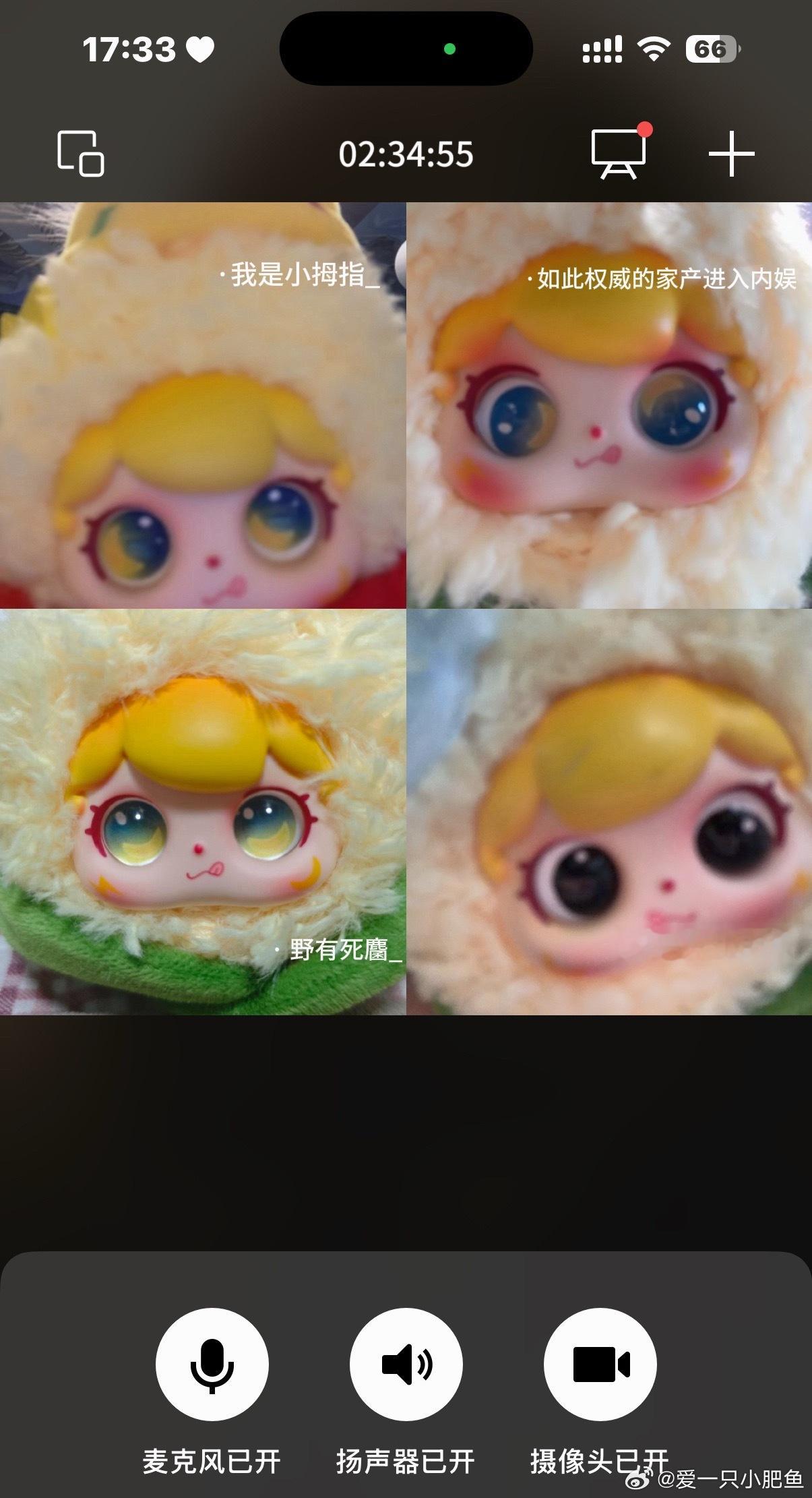 四个人展示自己的米中 