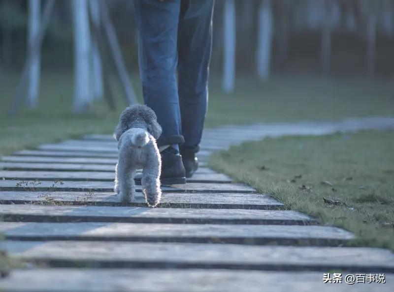 真正成大事的人，一生只守三件事

​​1. 沉默
不议人非，不炫己长，不争闲气。