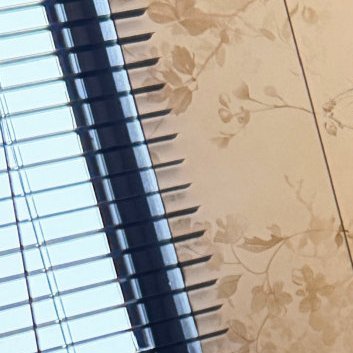 阳光信用阳光信用每日一善 有翅膀就该去振翅高飞，有梦想就要去追逐。一个人可以一无