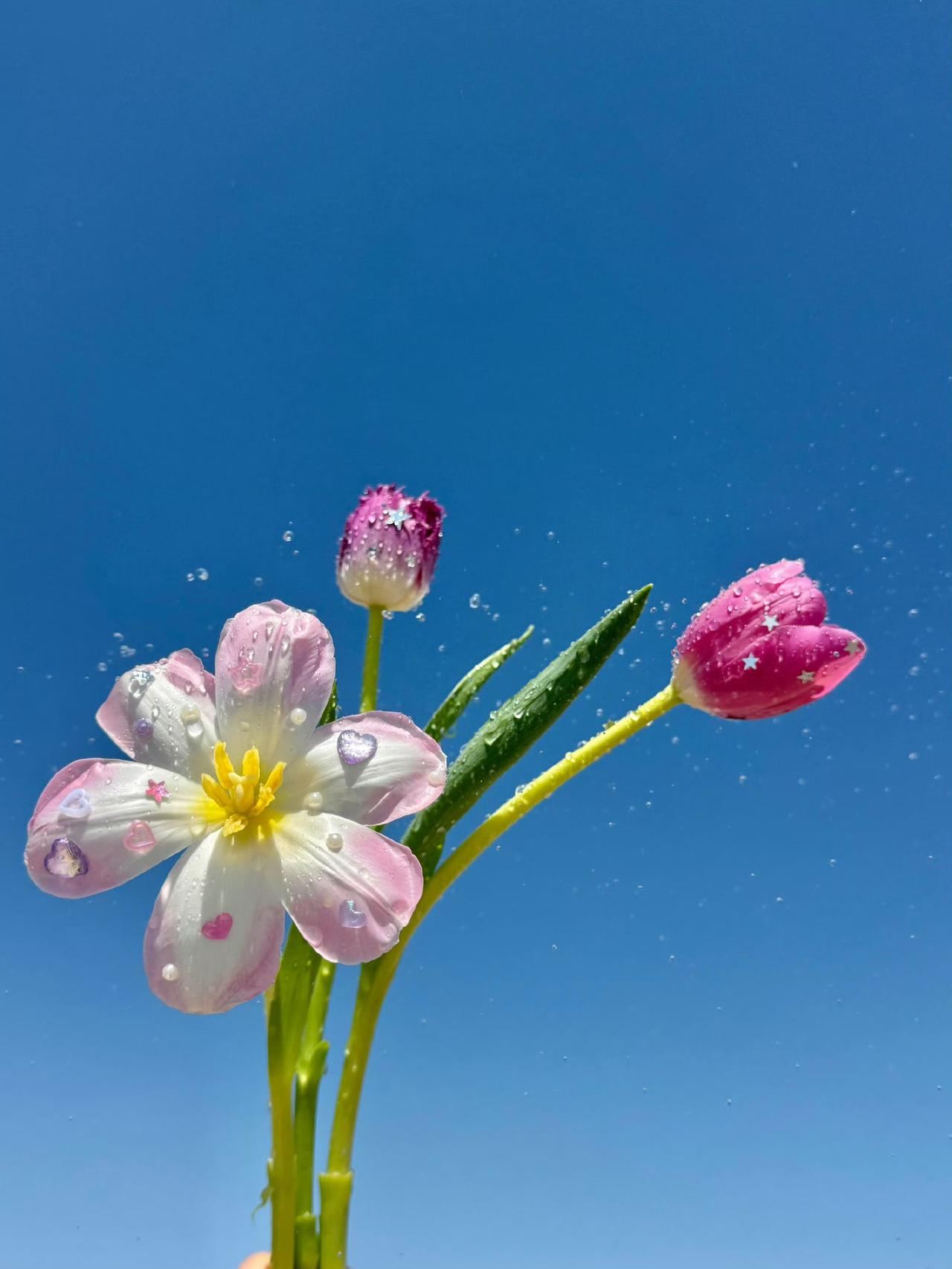 生活无解，
去感受，
去记录，
去热爱！