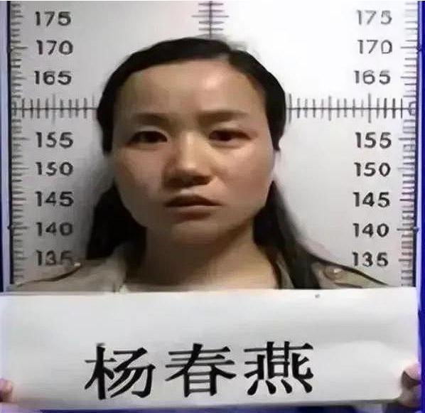 “别看她像个乖乖女，其实已经害了40个家庭。”2019年，正在读硕士的杨春燕，在