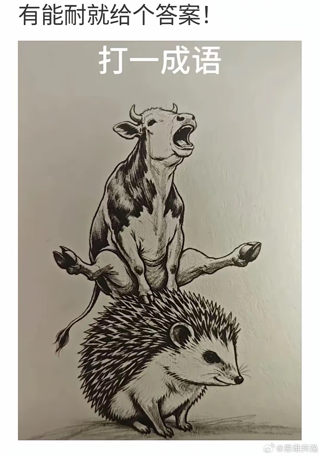 给个答案 ​​​