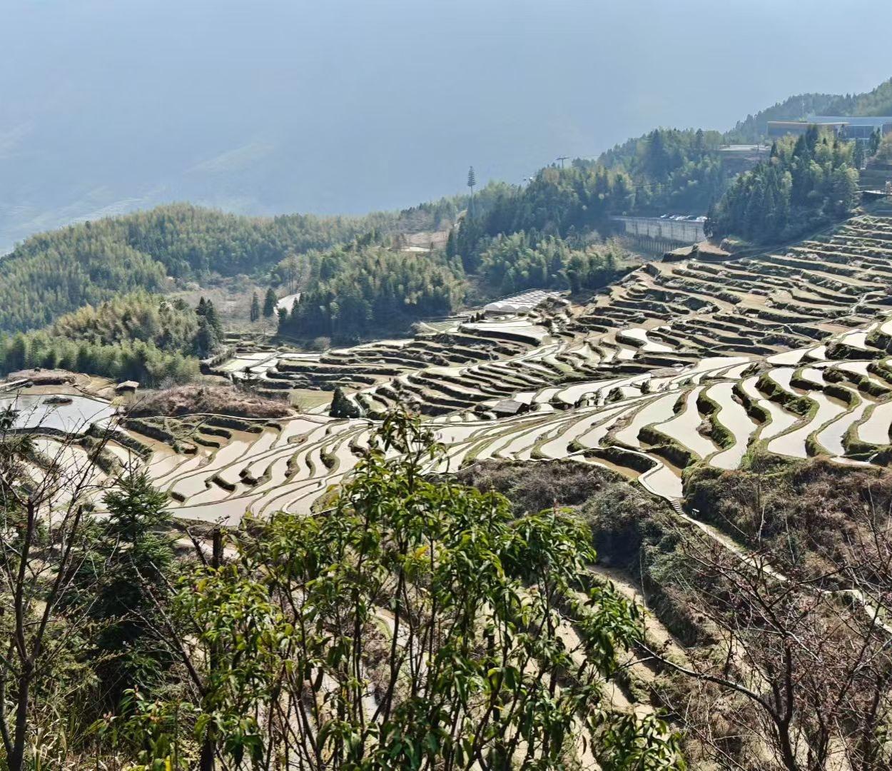 记录我的2026层层梯田映天光，青山叠翠入画来，春日山野，尽是自然的诗意与温柔。