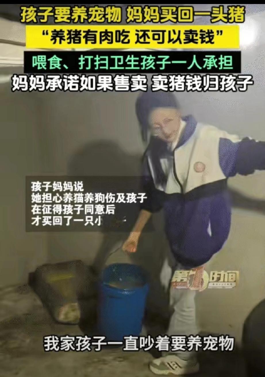 “太有经济头脑了！”贵州平塘，孩子要养宠物。没想到，妈妈买回一头猪让孩子养。妈妈