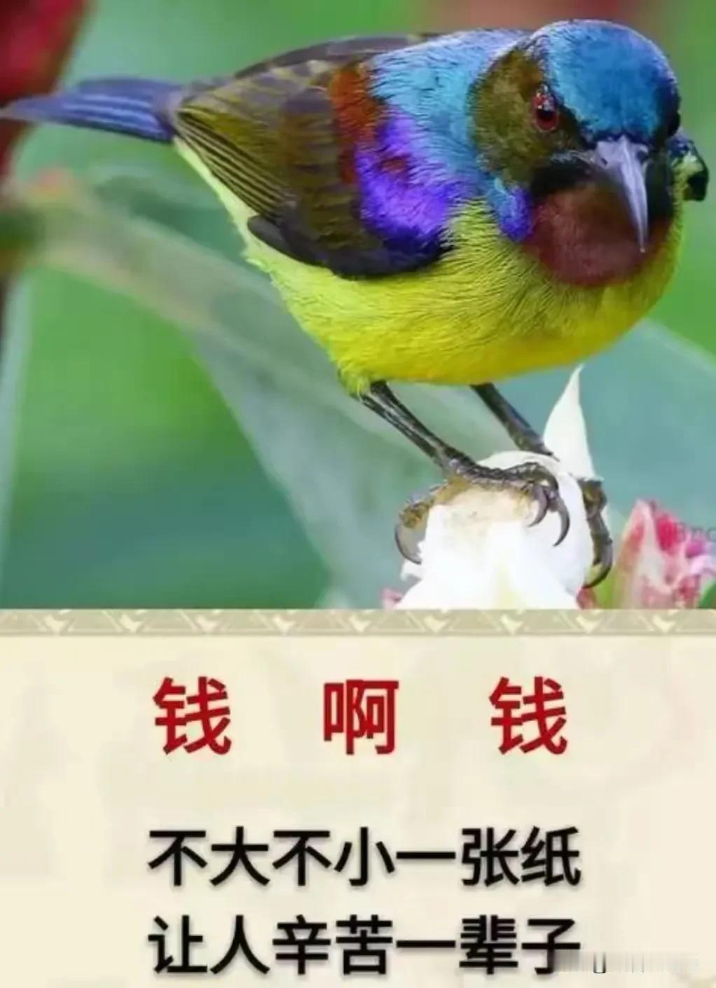 “挣钱比吃屎都难，花钱比拉稀都快！”能说出这句话的人也是个人才！粗俗却也深刻，扎