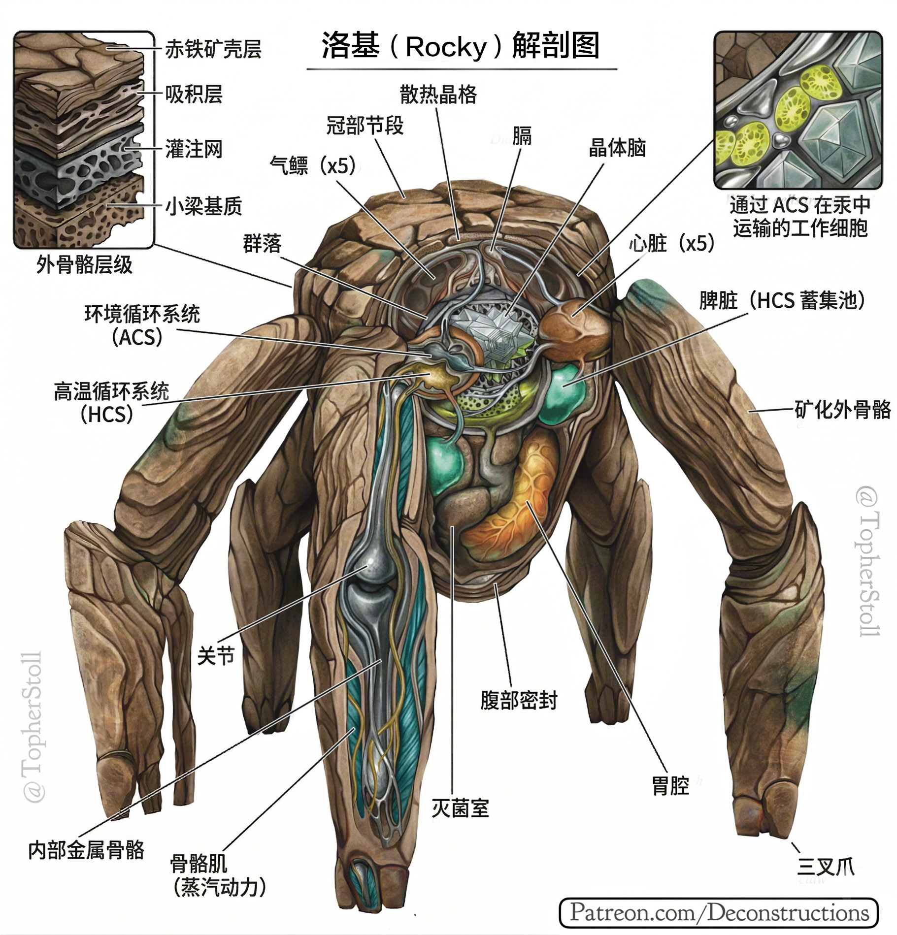 《挽救计划》洛基解剖图🪨 