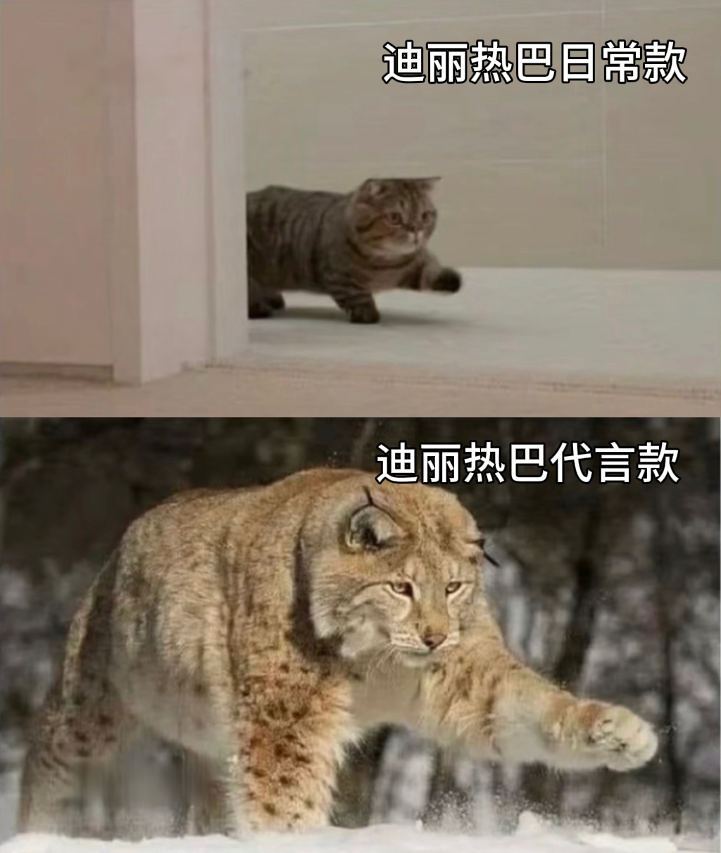 西北孤傲的狼不ooc的一集 迪丽热巴 路虎卫士