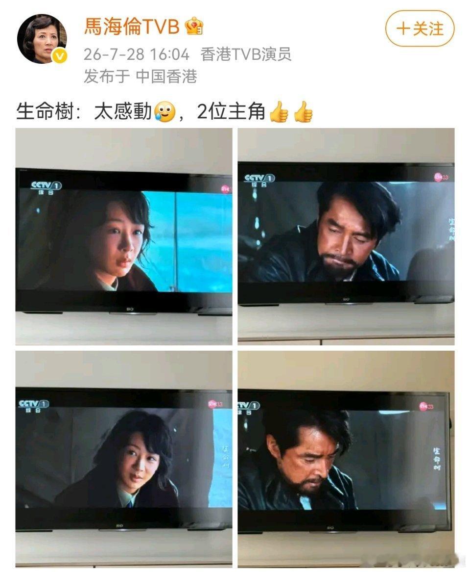 香港TVB女演员马海伦女士和我们有同样的感叹，可以说生命树只要看过的，很难不说好