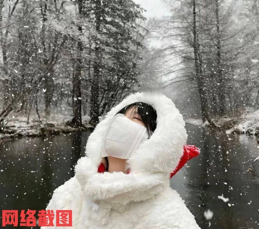 冷暖交替，还有极端天气，我们这个冬天会更冷吗。

冬天来临，我们仿佛一夜之间入冬