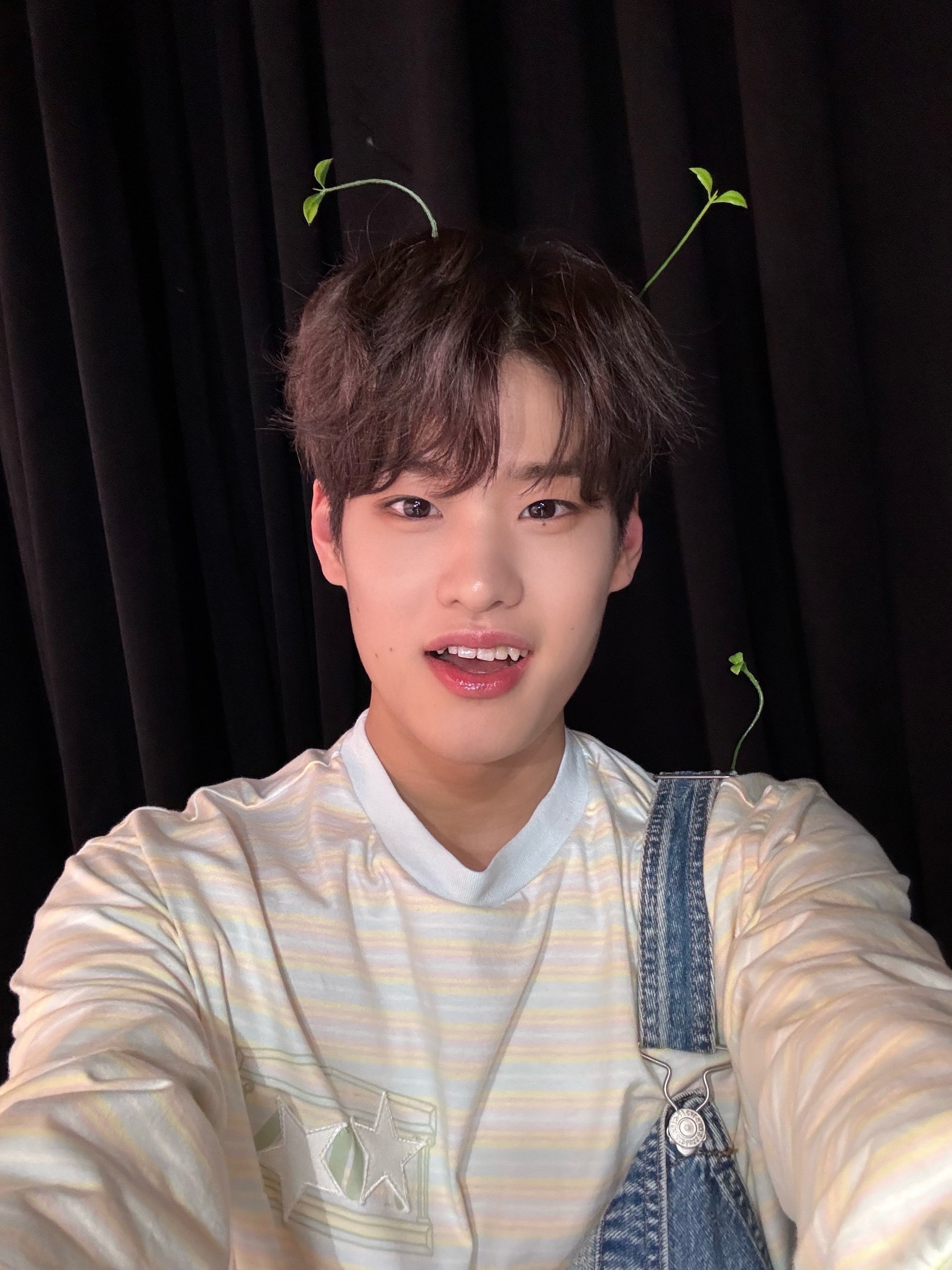 发芽啦🌱 