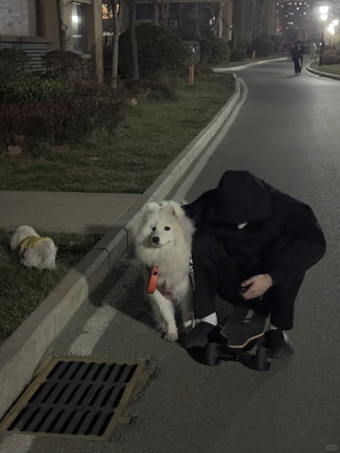 2024以幸福结尾👦🐶🐶