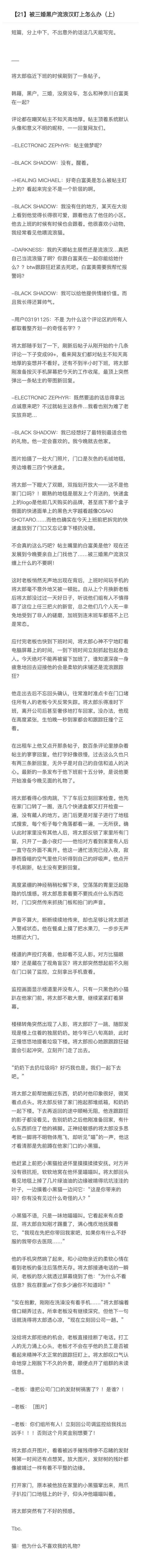 【🪑】21姐们新年快乐~来点猫饭 